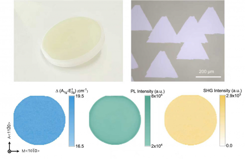 极钼芯携手南大再登《Science》：定制化装备攻克二维半导体量产动力学难题